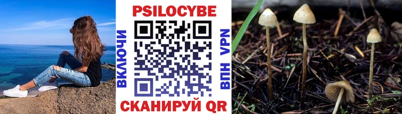 кракен как войти  Купино  Псилоцибиновые грибы прущие грибы 
